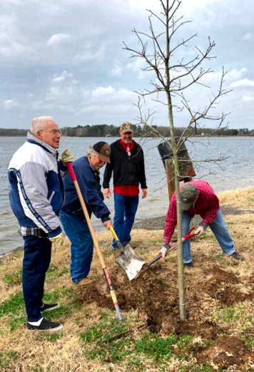 Bob Few, Phil Payne, Jerry Gaskill and Greg Hollen plant a tree as part of the Lake Holbrook beautification project.